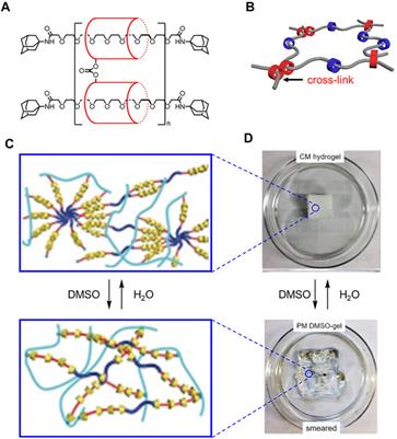 Corrigendum: Rigidity and Flexibility in Rotaxanes and Their Relatives; On Being Stubborn and Easy-Going
